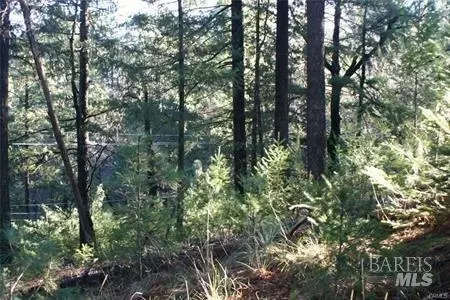 14028 Hogan Hls, Cobb, CA 95426 photo 4