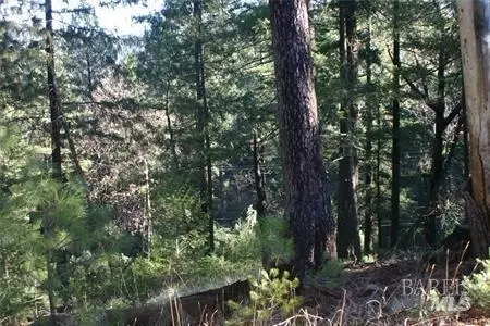 14028 Hogan Hls, Cobb, CA 95426 photo 3