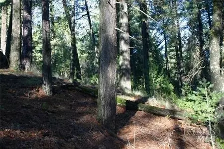 14028 Hogan Hls, Cobb, CA 95426 photo 6