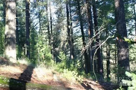 14028 Hogan Hls, Cobb, CA 95426 photo 5
