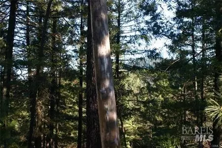 14028 Hogan Hls, Cobb, CA 95426 photo 7