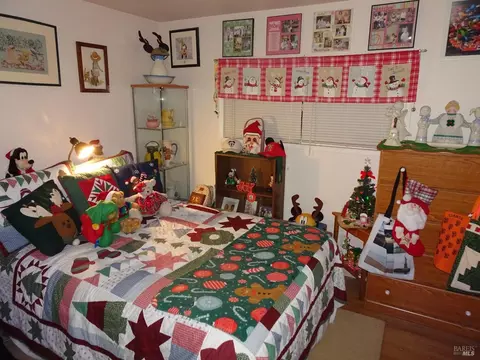 21 Dali Ct, Fairfield, CA 94534 photo 46