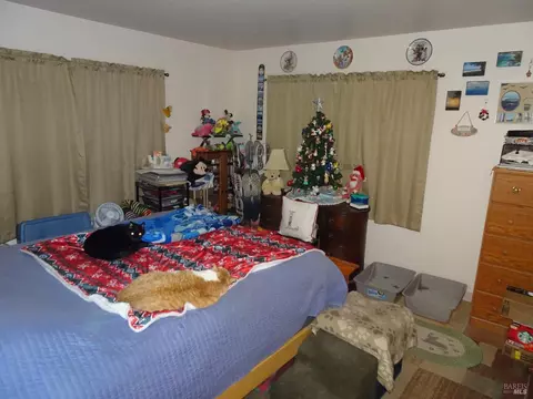 21 Dali Ct, Fairfield, CA 94534 photo 45