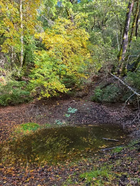 Other - 29500 Timberline Rd, Willits, CA 95490 photo 10 of 18