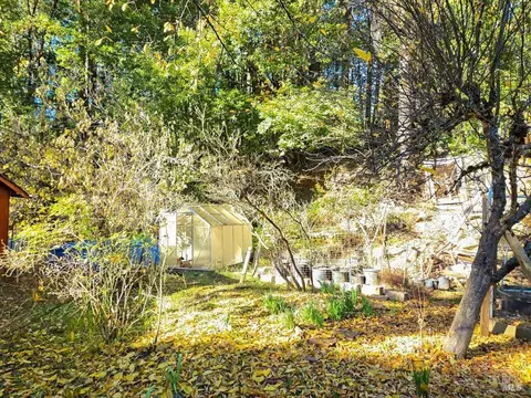 Exterior - 29500 Timberline Rd, Willits, CA 95490 photo 17 of 31