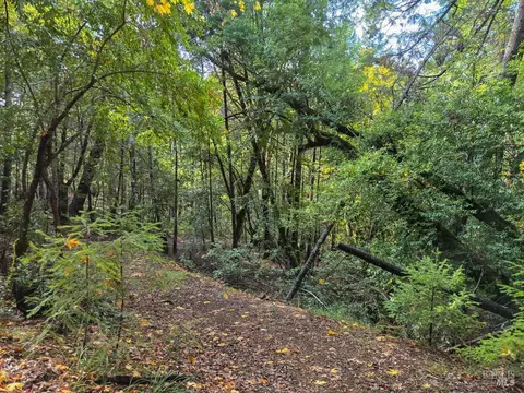 Other - 29500 Timberline Rd, Willits, CA 95490 photo 17 of 18