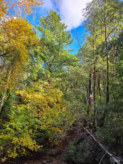 Other - 29500 Timberline Rd, Willits, CA 95490 photo 12 of 18