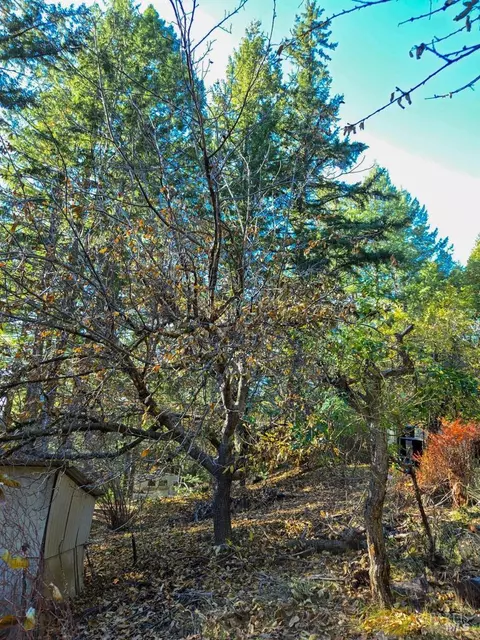 Exterior - 29500 Timberline Rd, Willits, CA 95490 photo 23 of 31