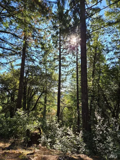 Other - 29500 Timberline Rd, Willits, CA 95490 photo 18 of 18