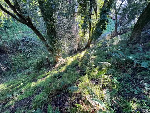 38 Madera Way, Mill Valley, CA 94901