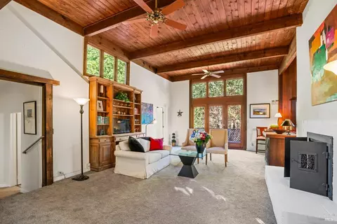 189 Marion Ave, Mill Valley, CA 94941 photo 43