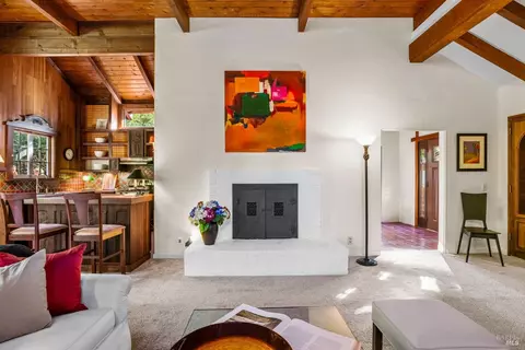 189 Marion Ave, Mill Valley, CA 94941 photo 30
