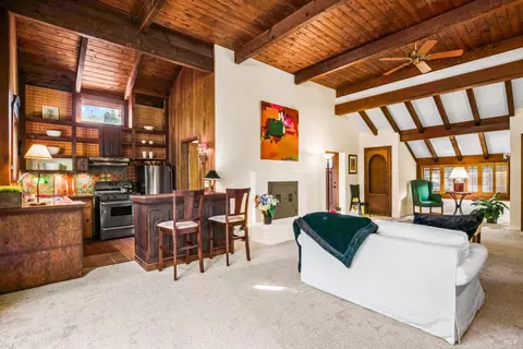 189 Marion Ave, Mill Valley, CA 94941 photo 32