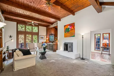 189 Marion Ave, Mill Valley, CA 94941 photo 44