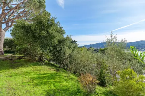 113 Chapel Dr, Mill Valley, CA 94941 photo 48