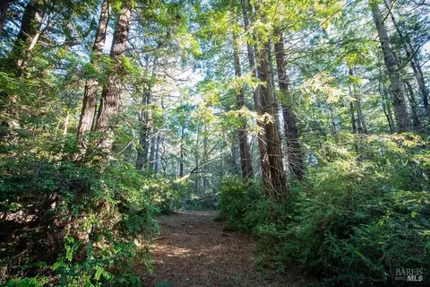 0 Zettler Rd, Point Arena, CA 95468