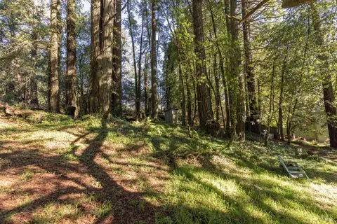878 Jonive Rd, Sebastopol, CA 95472 photo 51
