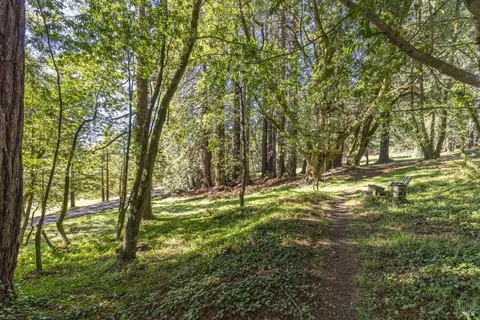 878 Jonive Rd, Sebastopol, CA 95472 photo 46