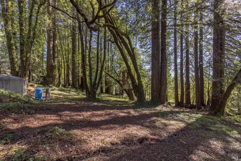 878 Jonive Rd, Sebastopol, CA 95472 photo 53