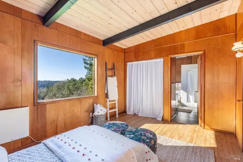 878 Jonive Rd, Sebastopol, CA 95472 photo 20