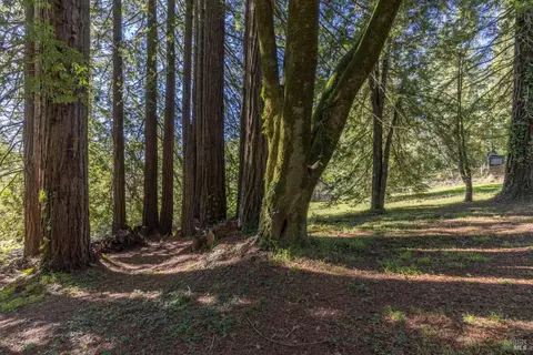 878 Jonive Rd, Sebastopol, CA 95472 photo 49