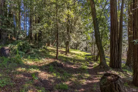 878 Jonive Rd, Sebastopol, CA 95472 photo 45