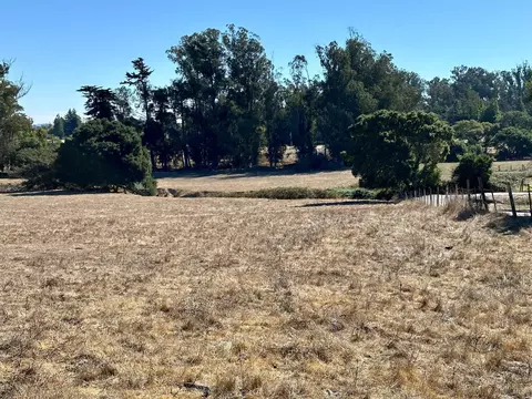 4893 Bodega Ave, Petaluma, CA 94952 photo 2