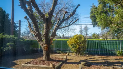 290 S 7th St, Dixon, CA 95620 photo 27