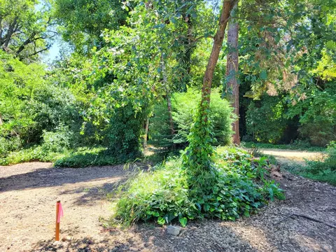 0 N School St, Ukiah, CA 95482 photo 5