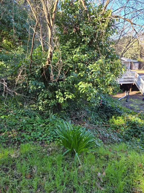 0 N School St, Ukiah, CA 95482 photo 16