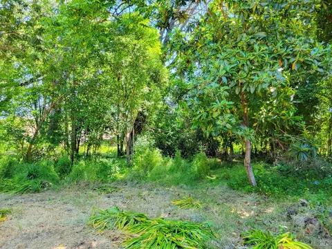 0 N School St, Ukiah, CA 95482 photo 7