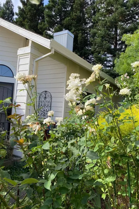 Exterior - 148 S Temelec Cir, Sonoma, CA 95476 photo 18 of 21