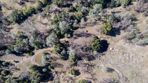 40150 Helms Rd, Willits, CA 95490 photo 8