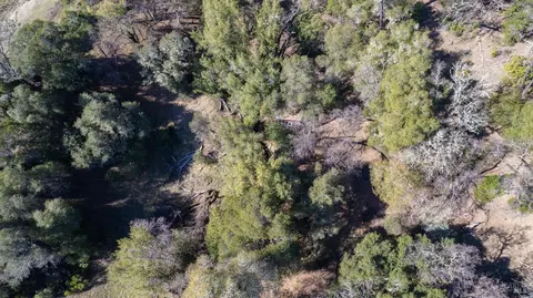 40150 Helms Rd, Willits, CA 95490 photo 9
