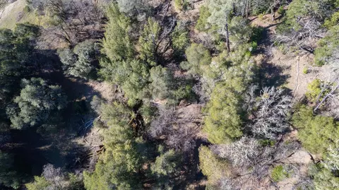 40150 Helms Rd, Willits, CA 95490 photo 10