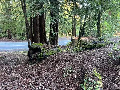 24100 Lilac Rd, Willits, CA 95490 photo 7