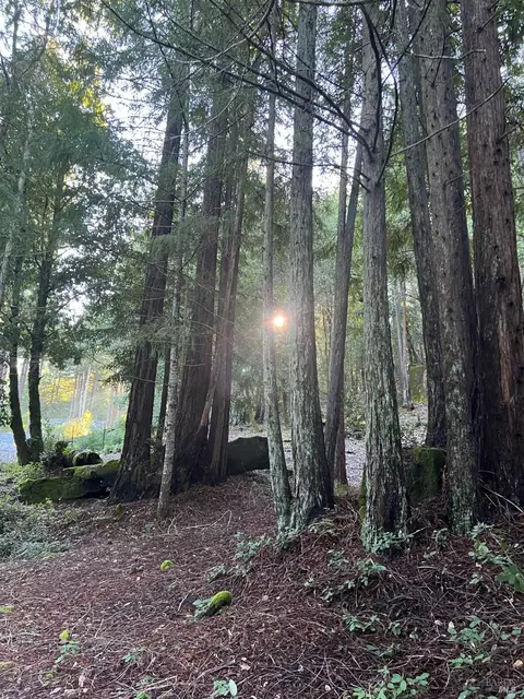 24100 Lilac Rd, Willits, CA 95490