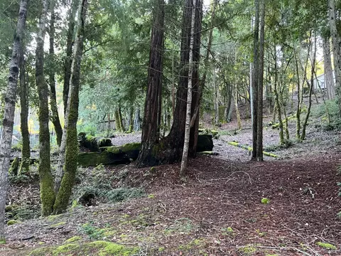 24100 Lilac Rd, Willits, CA 95490 photo 3