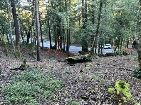 24100 Lilac Rd, Willits, CA 95490 photo 9
