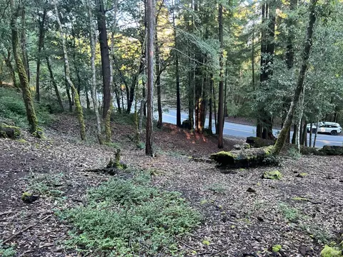 24100 Lilac Rd, Willits, CA 95490 photo 10