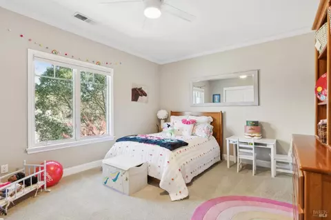 Bedroom - 20 Deer Valley Ct, Petaluma, CA 94952 photo 4 of 5