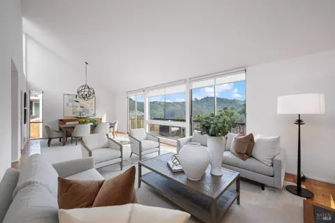 359 County View Dr, Mill Valley, CA 94941 photo 18