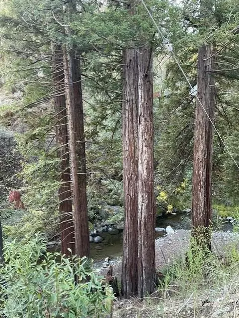 18990-18992 King Ridge Rd, Cazadero, CA 95421