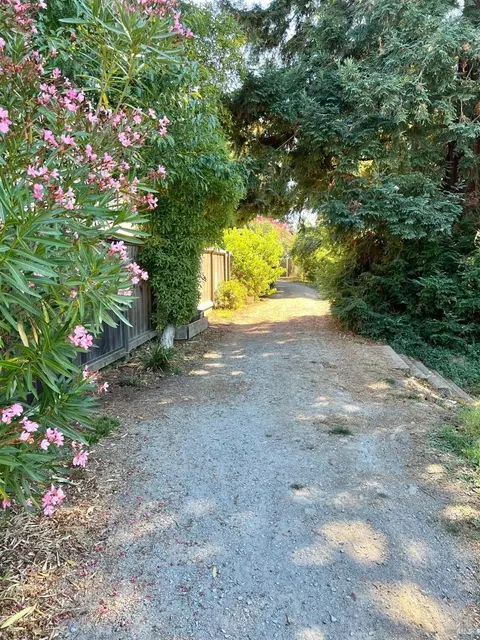 65 Park Ter, Mill Valley, CA 94941 photo 25