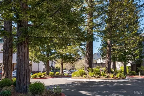 65 Park Ter, Mill Valley, CA 94941 photo 21