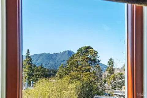 65 Park Ter, Mill Valley, CA 94941 photo 19
