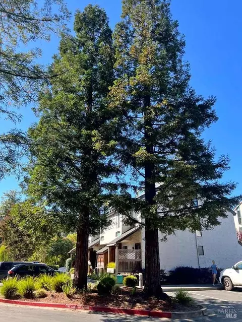 65 Park Ter, Mill Valley, CA 94941 photo 26