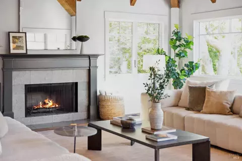 Living - 431 Wellesley Ave, Mill Valley, CA 94941 photo 4 of 13