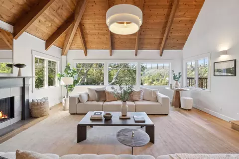 Other - 431 Wellesley Ave, Mill Valley, CA 94941 photo 4 of 20