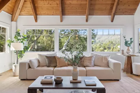 Other - 431 Wellesley Ave, Mill Valley, CA 94941 photo 5 of 20
